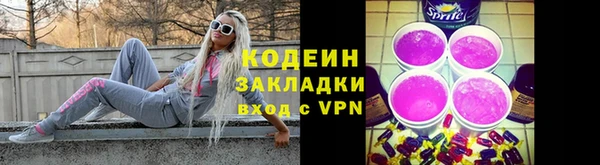 молекула духа Козельск