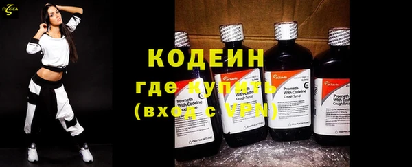 молекула духа Козельск