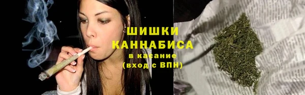 дмт Кодинск