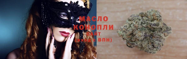молекула духа Козельск