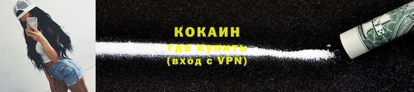 молекула духа Козельск