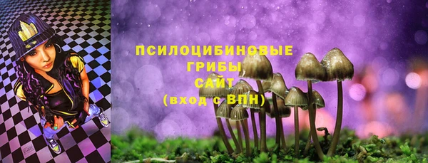 дмт Кодинск