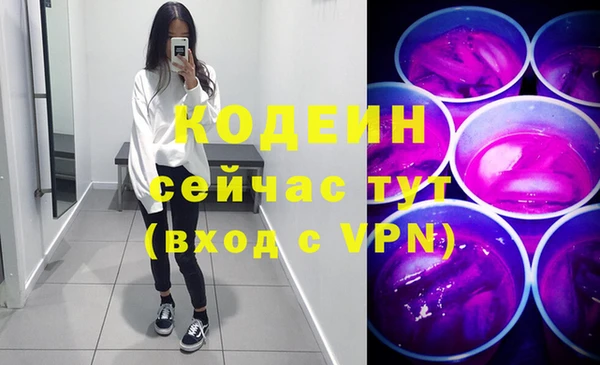 молекула духа Козельск
