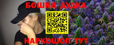бошки Кингисепп