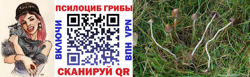 Псилоцибиновые грибы ЛСД  Нальчик 