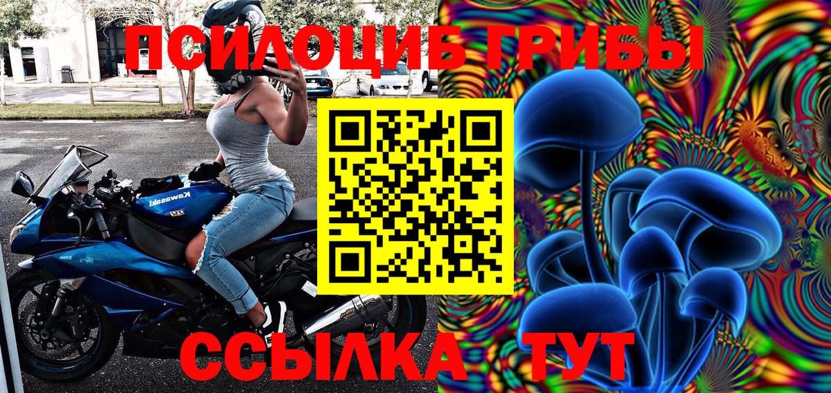 Псилоцибиновые грибы Psilocybine cubensis Нальчик